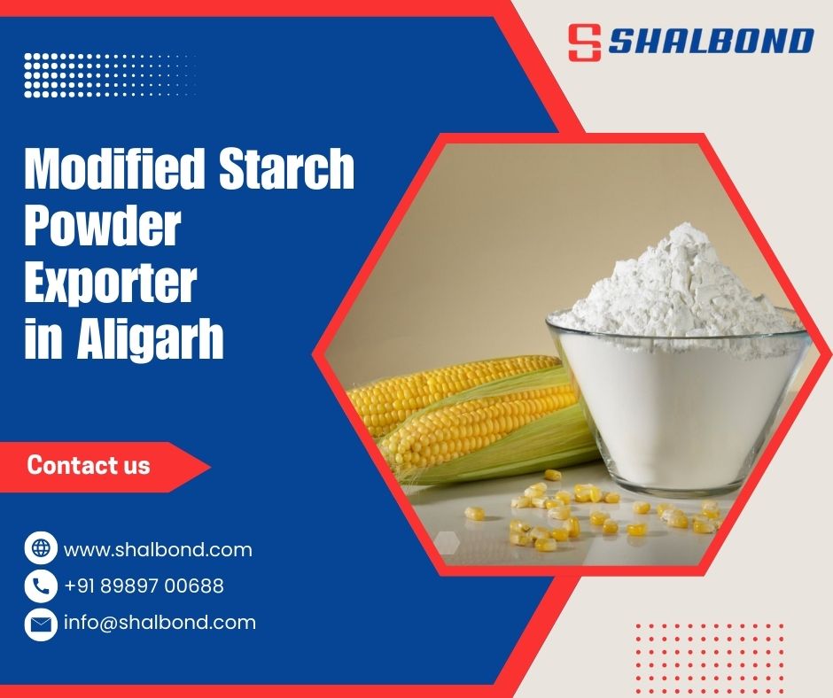 Modified Starch Powder Exporter in Aligarh